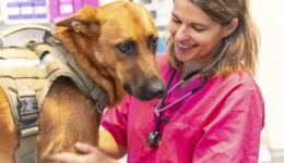 Entenda a importância da formação prática para os profissionais