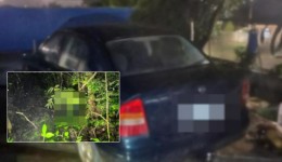 Mulher de 54 anos é morta e tem corpo ocultado em área de mata no Oeste de SC