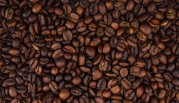 Safra de café do Brasil deve alcançar 55,67 milhões de sacas em 2025