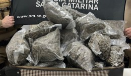 PM apreende quase 20 kg de Skunk após perseguição e cerco no Oeste de SC