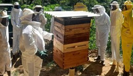 SAPE e Epagri investem na qualificação da apicultura catarinense