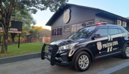 Homem é preso por praticar violência doméstica contra a própria mãe idosa