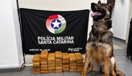 Drogas são encontradas em mala de adolescente em abordagem a ônibus