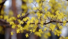 Primavera será marcada por chuvas mais frequentes em SC