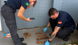 Ossada encontrada em Pinhalzinho não era humana, esclarece Polícia Civil