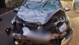 Carro colide com cavalo e deixa casal ferido na SC-283