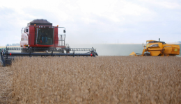 Paraná projeta aumento de 4% na produção de soja