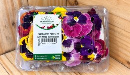 Brasil que floresce além do agronegócio tradicional