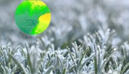 Feriadão de Independência terá frio rigoroso de até -6°C e poderá atingir ao menos 16 estados brasileiros