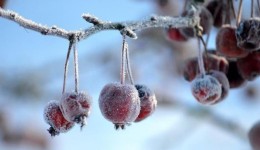Menor temperatura do ano chega a -3,2°C em Santa Catarina