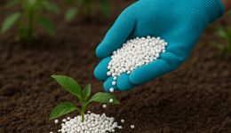 Preço da ureia sobe 14% em um mês e preocupa produtores às vésperas da próxima safra