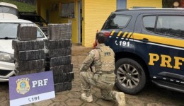 PRF apreende quase 300 quilos de maconha e prende motorista na BR-282