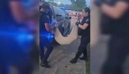 Jovem é preso após cão ser torturado e morto; crime envolve adolescentes e choca moradores