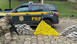 PRF apreende quase 200 quilos de drogas e recupera carro roubado na BR-282
