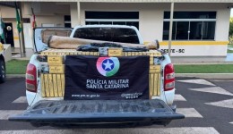 PMRv apreende 25 mil maços de cigarros de contrabando