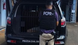 Polícia Civil prende homens por furto e receptação de portas de alumínio