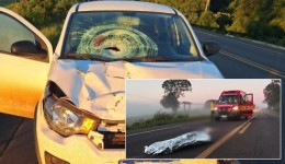 Homem de 53 anos morre após ser atropelado na BR-282