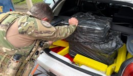 Polícia apreende 200 kg de drogas em carro que era transportado por guincho na BR-282