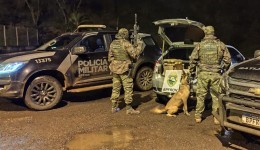 BPFRON prende homem e apreende mais de 232 quilos de maconha