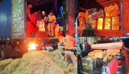 Morador de Bernardo de Irigoyen é preso com mais de 4,5 toneladas de maconha na BR-277