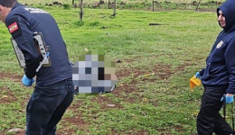 Jovem apaixonado por garota de programa é morto ao agredi-la dentro de boate