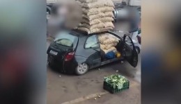 Motorista tenta transportar mais de 1 tonelada de batatas em veículo Ka