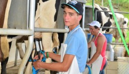 Curso para jovens impulsiona a produção de leite à base de pasto no Oeste Catarinense