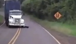 Vídeo flagra momento em que caminhão perde controle e quatro pessoas morrem em batida frontal; assista