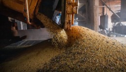 Economia brasileira cresce 1,1% no 1º trimestre