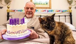 Gata de 31 anos pode se tornar a mais velha do mundo após rotina de cuidados especiais