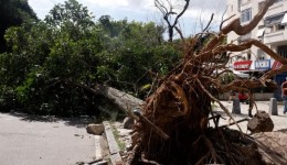 Comunidades criam soluções para mitigar efeitos da crise climática