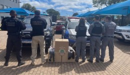 Polícia faz doação de 150 kg de cabelos apreendidos para pacientes em tratamento de câncer