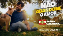 SC lança campanha contra maus-tratos a animais durante o Dezembro Verde