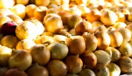 Alimentos têm nova queda e acumulam 5 meses seguidos de deflação