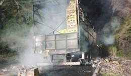 Caminhão carregado com frangos pega fogo na BR-280