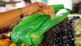 Estado tem a menor taxa de pobreza e extrema pobreza do Brasil