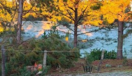 Primeira grande geada do inverno transforma paisagem na Tri-Fronteira nesta quarta-feira (24)