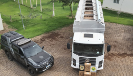 Caminhão com carga milionária de cigarros contrabandeados é apreendido após fuga de motorista