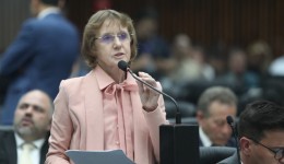 Deputada Luciana Rafagnin (PT) solicita ao DNIT redutores de velocidade e duplicação entre Barracão e Santo Antonio do Sudoeste