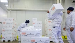 SC lidera geração de empregos e registra menor desemprego do país novamente
