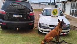 Homem é preso com cocaína durante operação do BPFRON