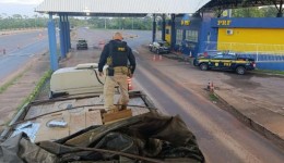 Maior apreensão do ano: 600 mil maços de cigarros ilegais interceptados em rodovia paranaense