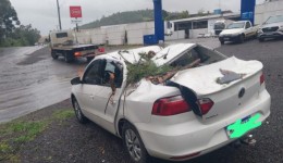 Carro é atingido por árvore durante temporal no Oeste de SC