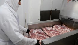 Chile reconhece status sanitário do Paraná e produtores poderão vender carne ao país