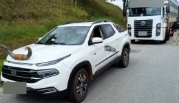 Motorista é flagrado com chifre de boi fixado no capô de picape em SC: 'Alegou ida a rodeio', diz PRF