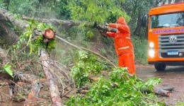 Chuvas fortes mobilizam bombeiros para atender diversas ocorrências