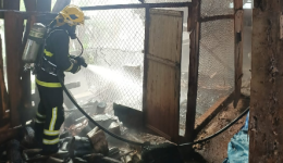 Incêndio atinge galpão agrícola e mata 35 galinhas