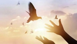 Construindo a liberdade
