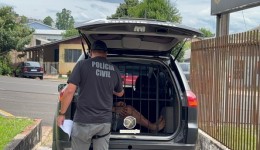 DIC de São Miguel do Oeste prende suspeito de roubo a residência praticado em outubro