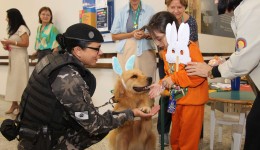Cães da PMPR passam a auxiliar no tratamento de pacientes em hospital de reabilitação